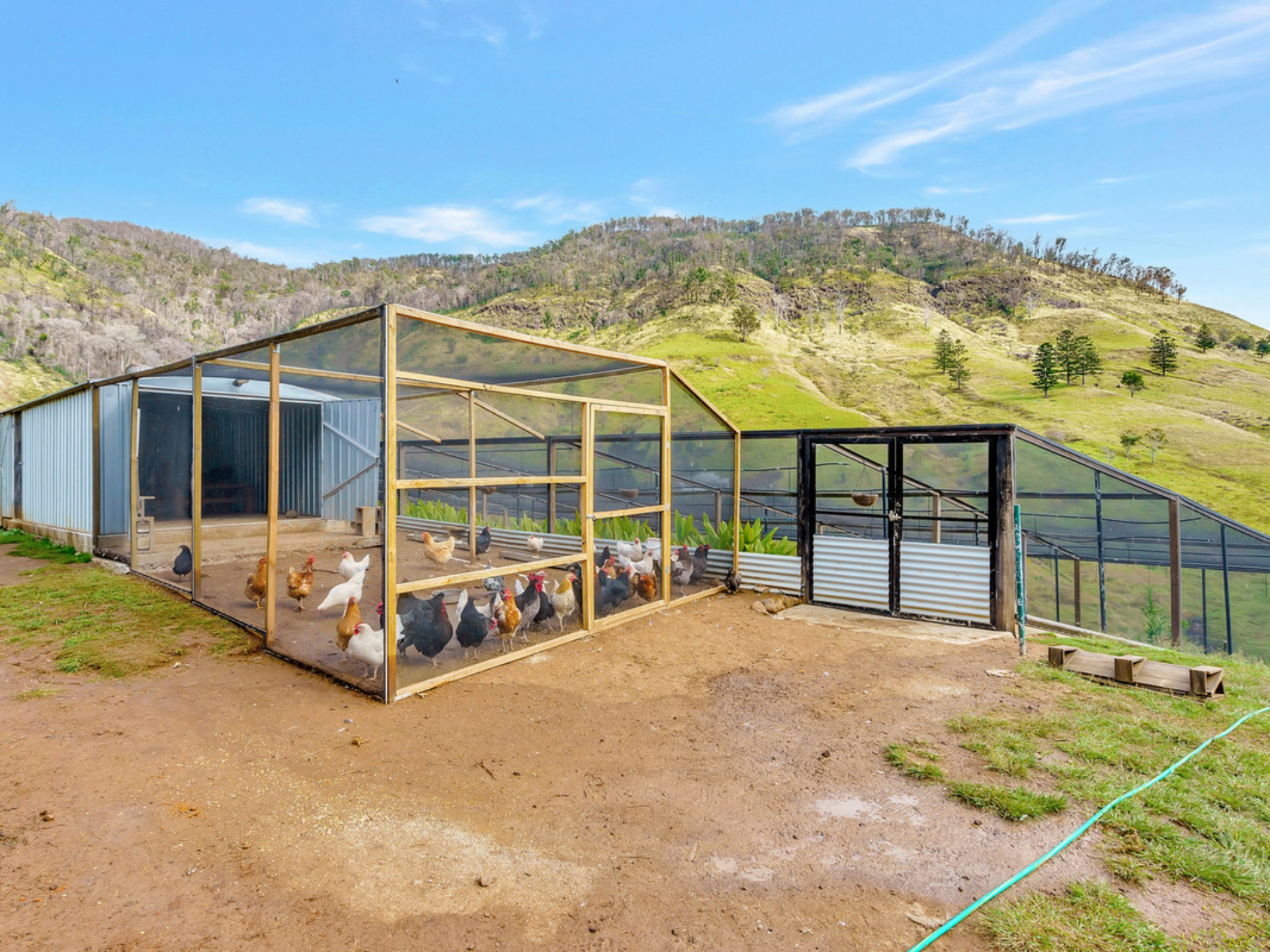 726 Illinbah Road, CANUNGRA