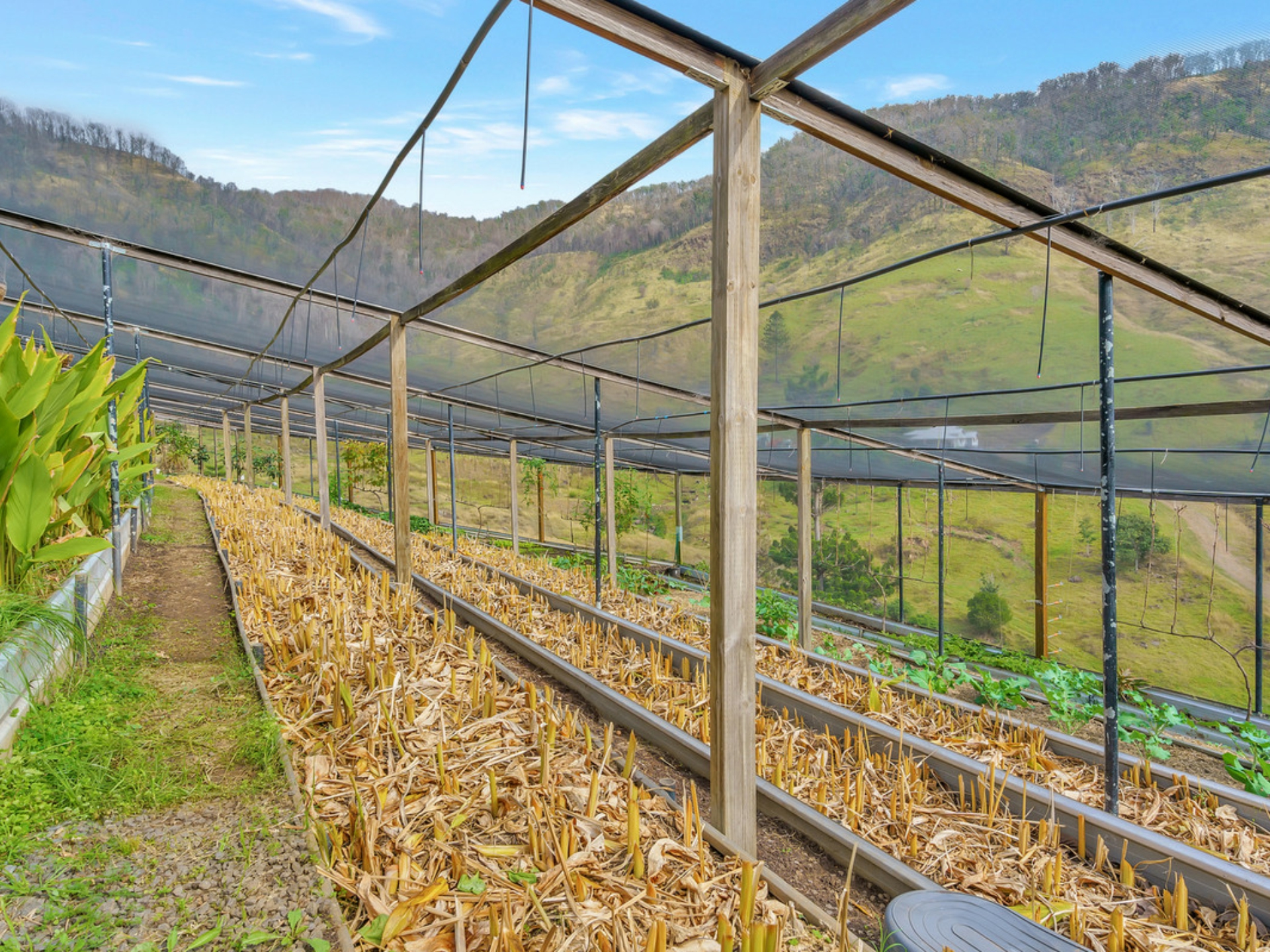 726 Illinbah Road, CANUNGRA