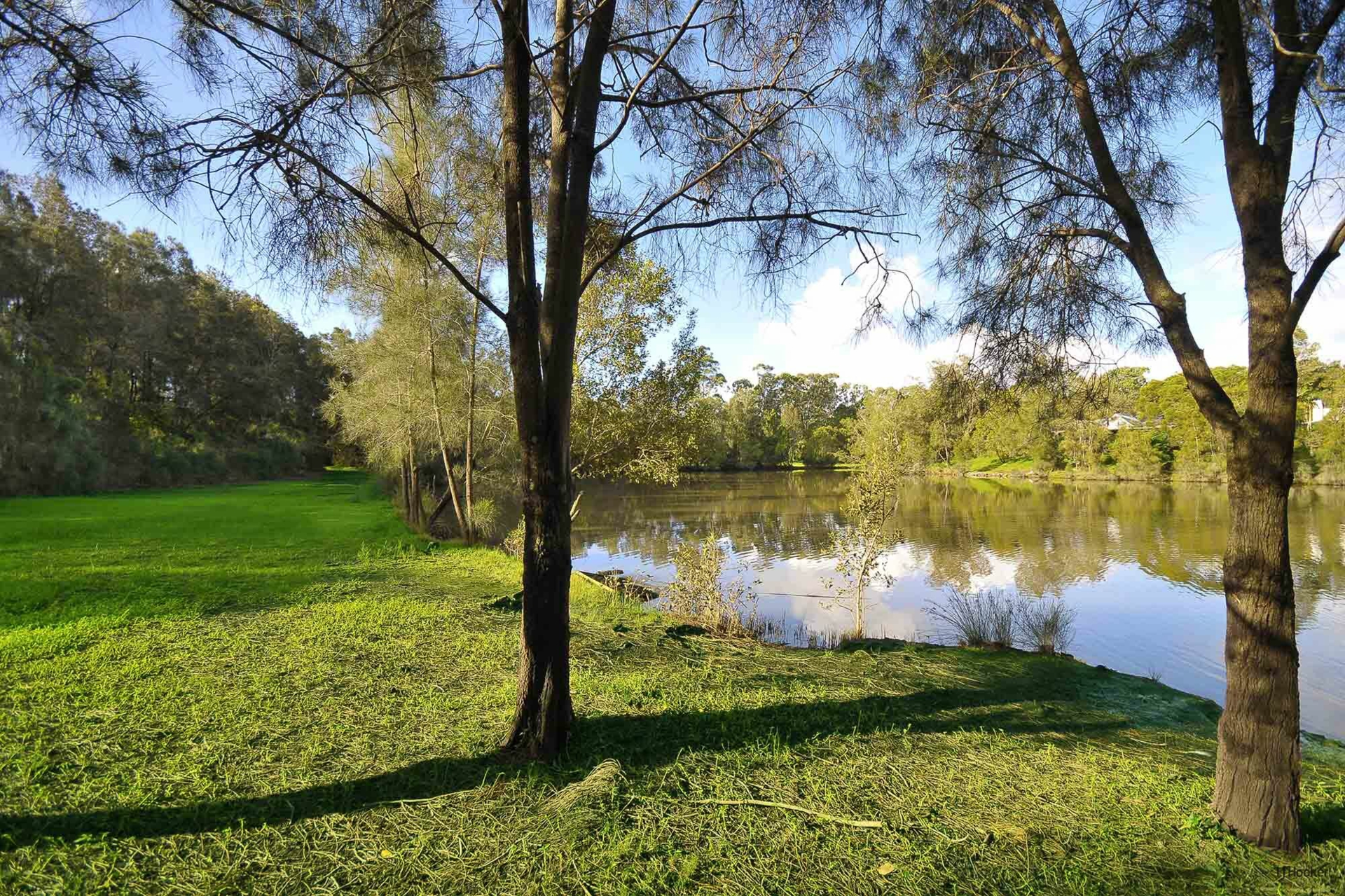 19 Hibertia Avenue, Elanora